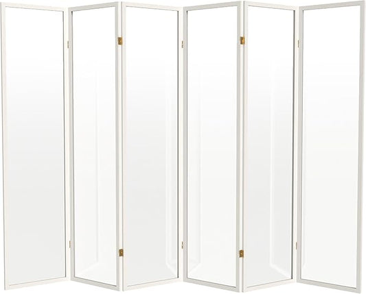 Red Lantern 6 ft. Tall Clear Plastic Partition White 6 Panel