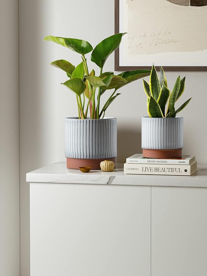 LE TAUCI Ceramic Pots for Plants, 8+6.7+5.5 Inch Plant Pots Indoor, Flower Pot with Drainage Holes, Medium Cylinder Planters for Indoor House Plants, Set of 3, Reactive Glaze White