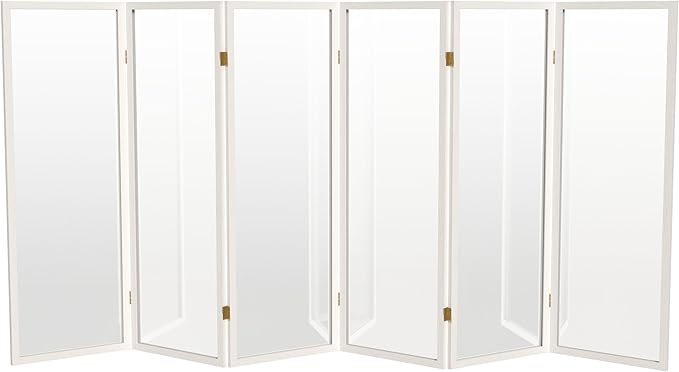 4 ft. Short Clear Plastic Partition White 6 Panel