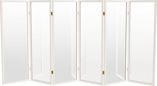 4 ft. Short Clear Plastic Partition White 6 Panel