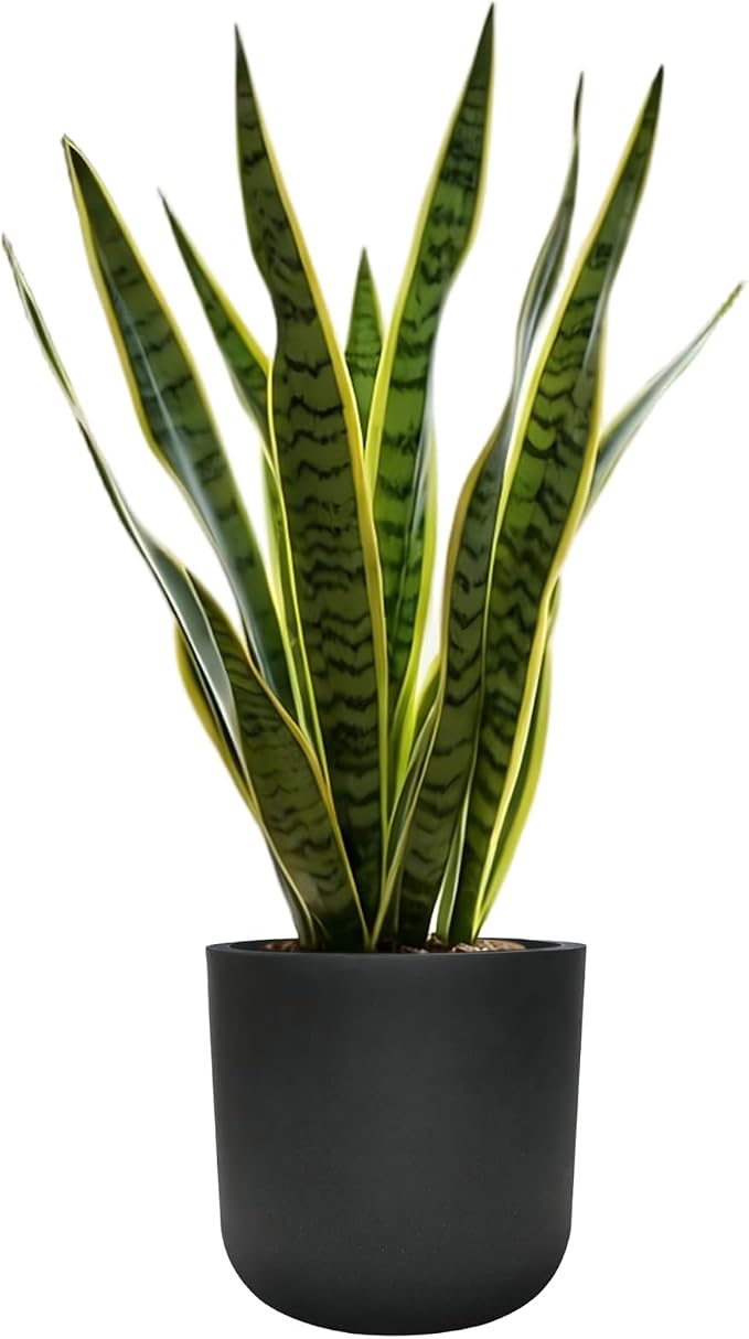 11 Inch Plant Pot, Modern Black Plastic Planter with Drainage Hole & Plug, Lightweight Weather Resistant Cylinder Flower Pot for Indoor Outdoor Use, Matte Black, 11" H x 11.6" Dia