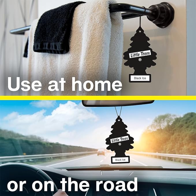 LITTLE TREES Car Air Freshener | Hanging Tree Provides Long Lasting Scent for Auto and Home | Warm Pumpkin Spice, 24 Air Fresheners