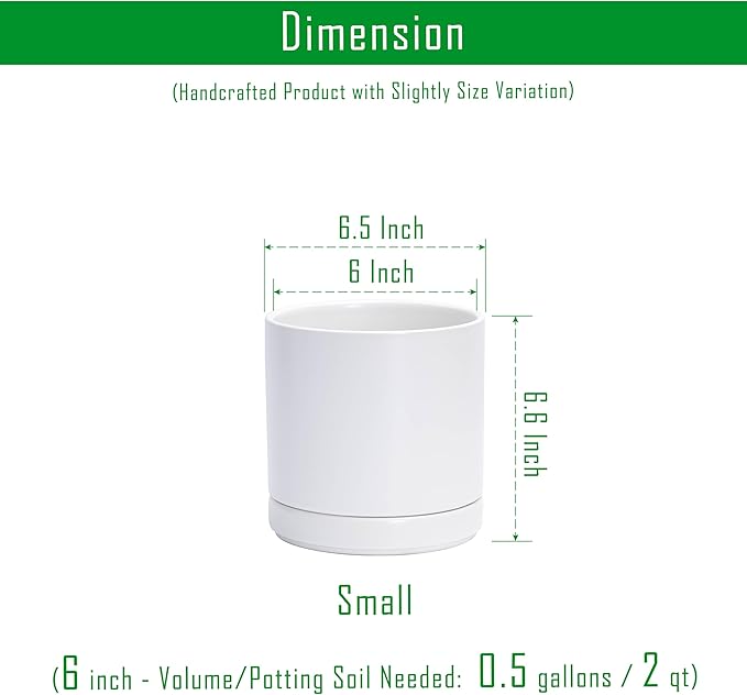D'vine Dev 6.5 Inch Ceramic Planter Pot, White, 94-O-C-1 | Modern Cylinder Design, Drainage Hole & Saucer Included, Stable Structure, Elegant Home Accent