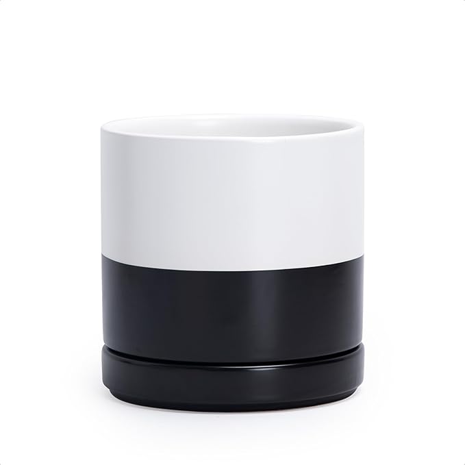 D'vine Dev 6.5 Inch Ceramic Planter Pot, Black White Two Tone, 94-O-C-L | Modern Cylinder Design, Drainage Hole & Saucer Included, Stable Structure, Elegant Home Accent