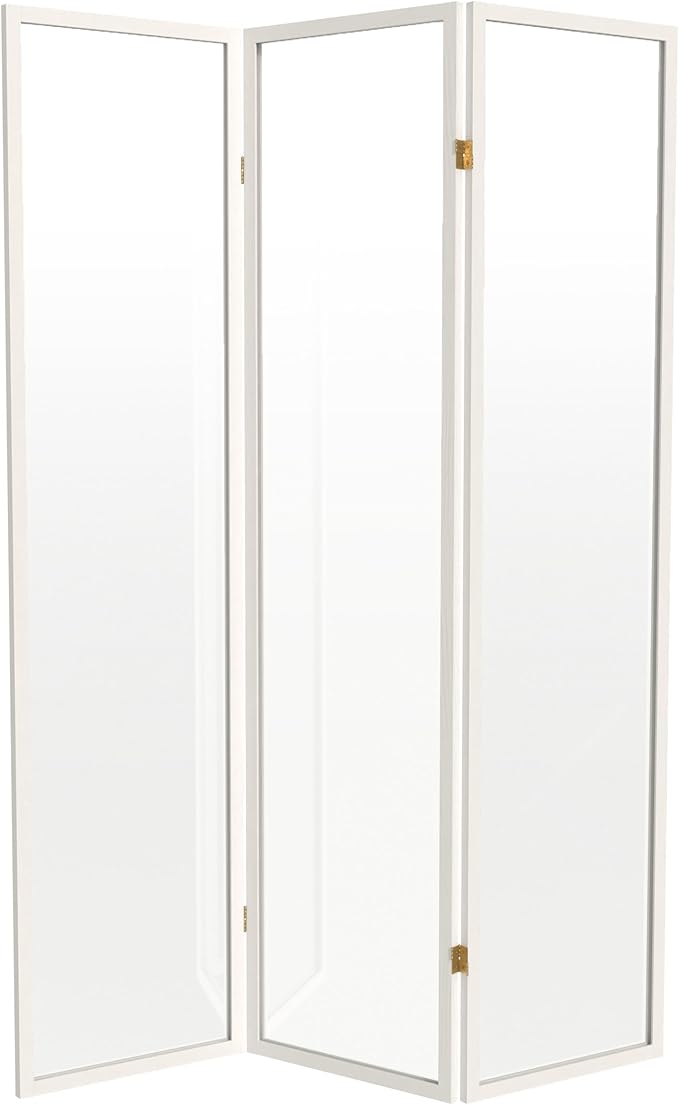 Red Lantern 6 ft. Tall Clear Plastic Partition White 3 Panel