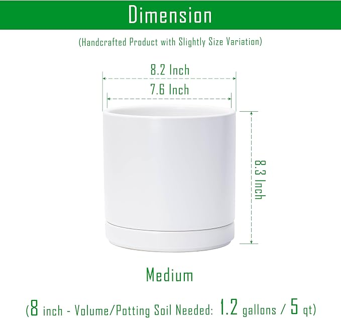 D'vine Dev 8.2 Inch Ceramic Planter Pot, White, 94-O-D-1 | Modern Cylinder Design, Drainage Hole & Saucer Included, Stable Structure, Elegant Home Accent