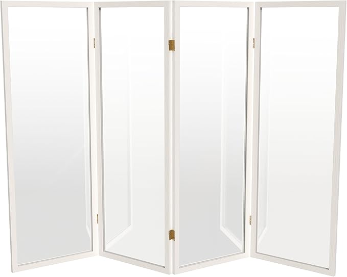 4 ft. Short Clear Plastic Partition White 4 Panel