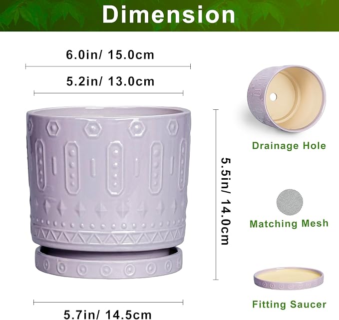 Eightpot Ceramic Pots for Plants, 6 Inch Plant Pot for Indoor Outdoor Plants, Round Planter with Drainage Holes and Saucer, Boho Decorative Flower Pots, Apartment Decor, Plant Lover Gifts, Purple