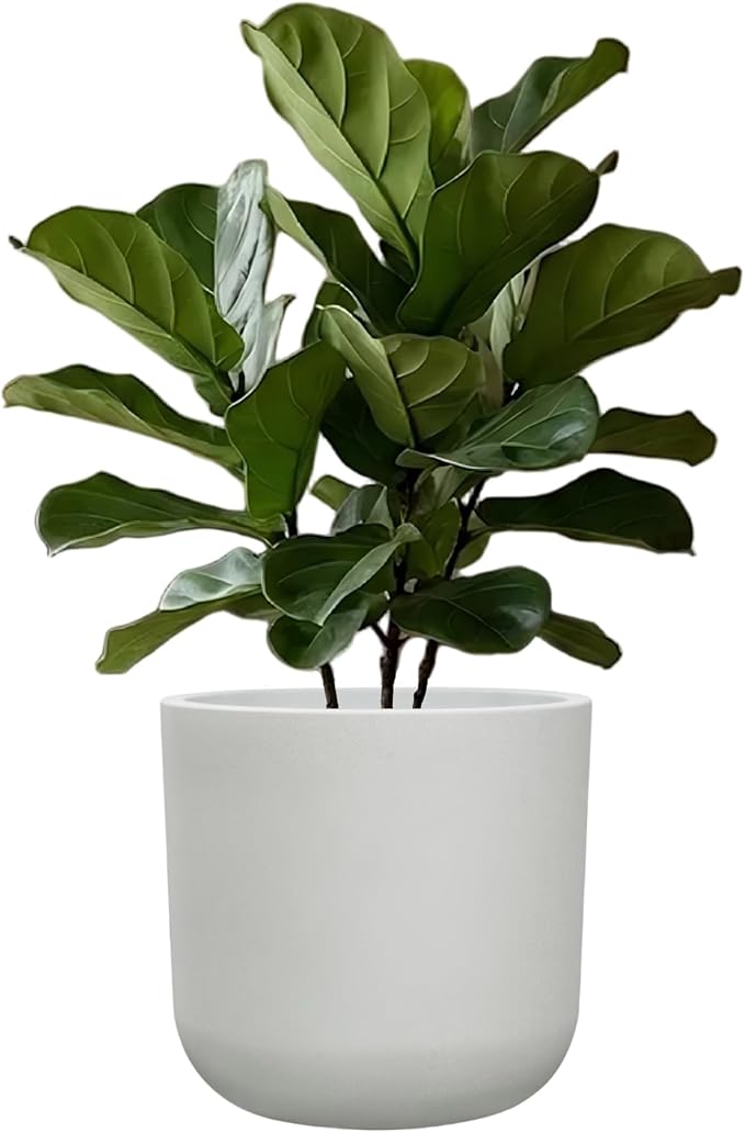 11 Inch White Planter, Large Plastic Plant Pots with Drainage Holes and Rubber Plug, UV Resistant Indoor Outdoor Flower Pot, Modern Decorative Cylinder for Home & Office, Chalk White