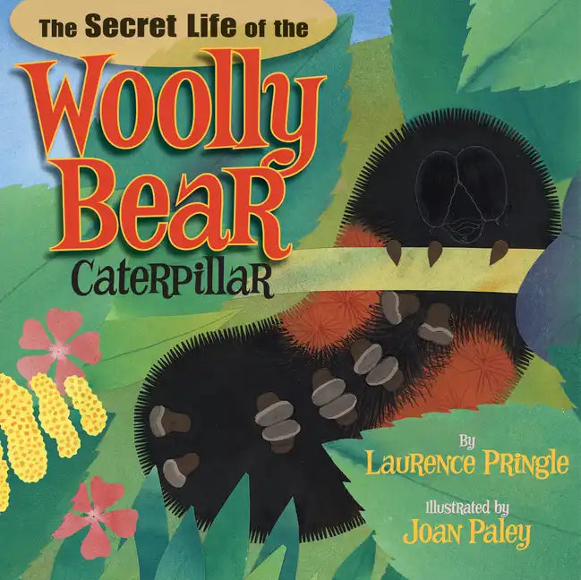 The Secret Life of the Woolly Bear Caterpillar - Hardcover
