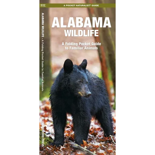 Alabama Wildlife: A Folding Pocket Guide to Familiar Animals - Paperback