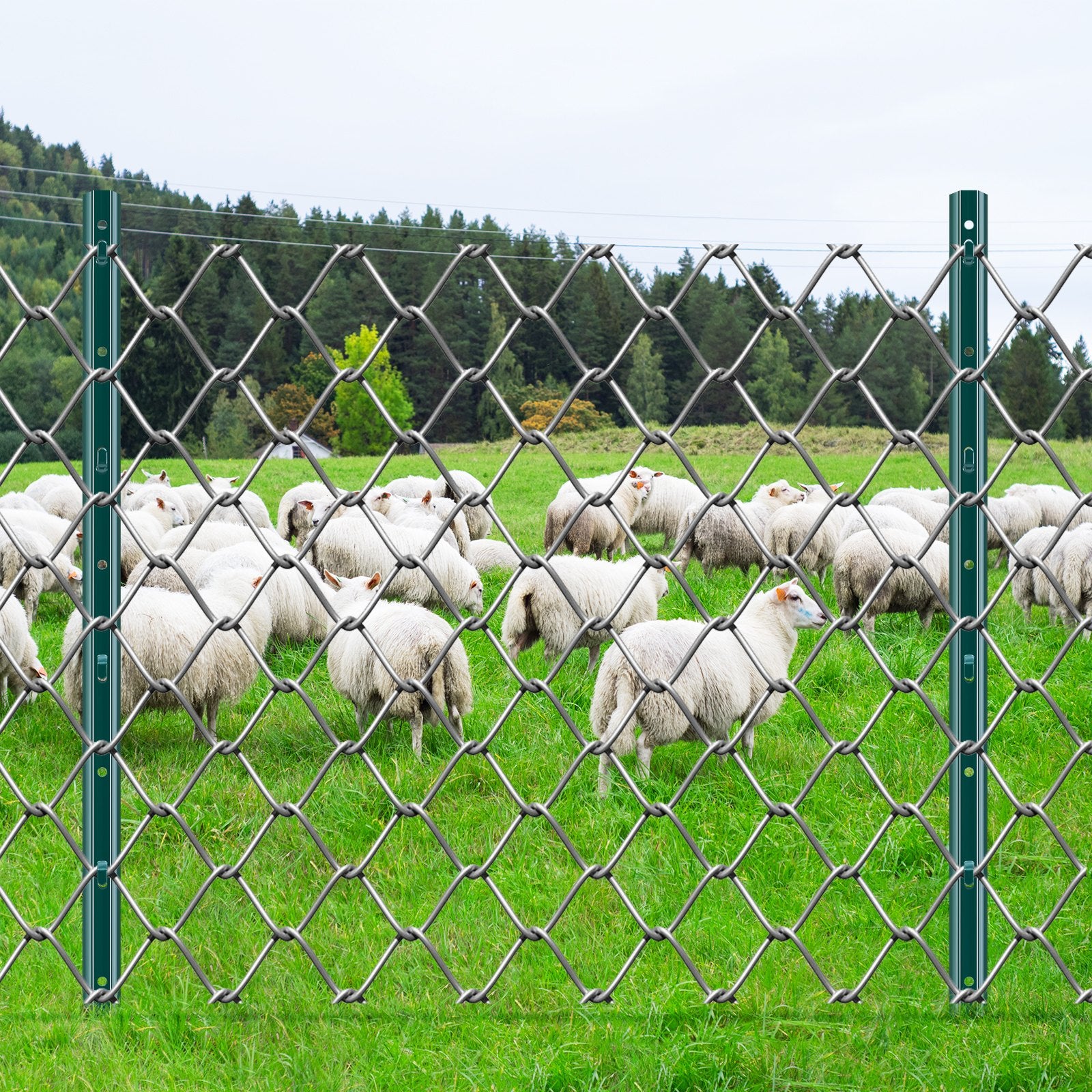 94dd63d49c059a133478620d5a06a3af