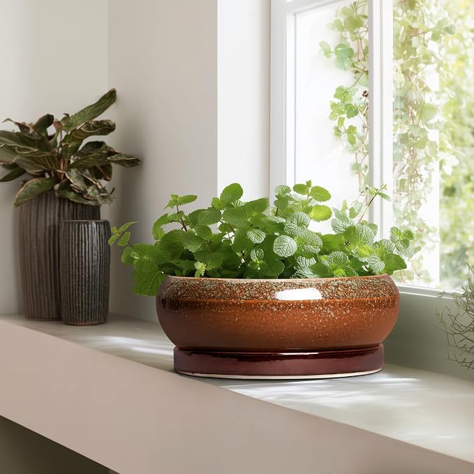 Bonsai Pots 13 Inch - Large Ceramic Succulent Planter for Indoor Outdoor, Round Shallow Planters with Drainage Hole and Saucer, Large Succulent Pots, Patio Decor, Garden Gifts, Retro Brown