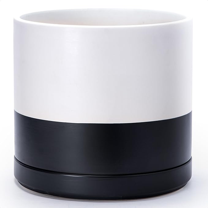 D'vine Dev 14 Inch Ceramic Planter Pot, Black White Two Tone, 94-O-G-L | Modern Cylinder Design, Drainage Hole & Saucer Included, Stable Structure, Elegant Home Accent