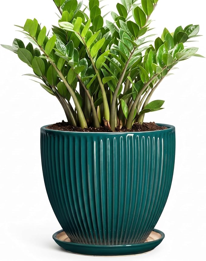 10 Inch Flower Pot, Round Ceramic Planters for Indoor Plants, Decorative Plant Pots with Drainage Hole and Saucer, Modern Large Planter, Office Decor, House Warming Gifts, Blackish Green