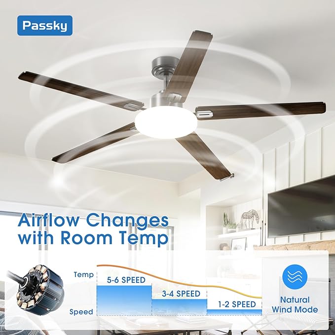 Passky Ceiling Fans with Lights, 60 inch Sleek Ceiling Fan with Light and Remote Control, 3CCT, Dimmable, Reversible, Noiseless, Black Ceiling Fan for Bedroom, Living Room