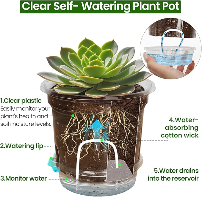 Bluepro Self Watering Pots for Indoor Plants, 4/5/6.5 Inch, 18-Pack | Clear Plastic, 6 Each of Three Sizes, Reservoir Trays and Wicks, Up to 7-Day Water Supply, Root and Water-Level Visibility