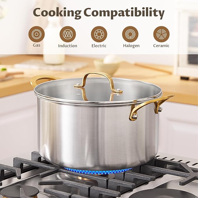 BEZIA 10 QT Stock Pot with Lid, Full Clad Tri-Ply Stainless Steel Soup Pot | Large Induction Cooking Pot, Uncoated & Built to Last, for Festive Party Drinks, Heavy-Duty Stock Base and Seafood Steaming