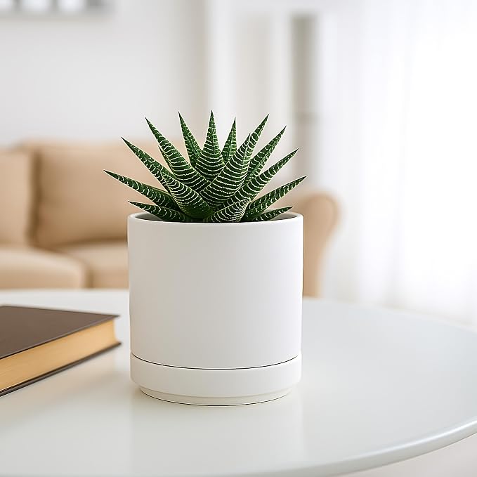 D'vine Dev 4.7 Inch Ceramic Planter Pot, White, 94-O-B-1 | Modern Cylinder Design, Drainage Hole & Saucer Included, Stable Structure, Elegant Home Accent