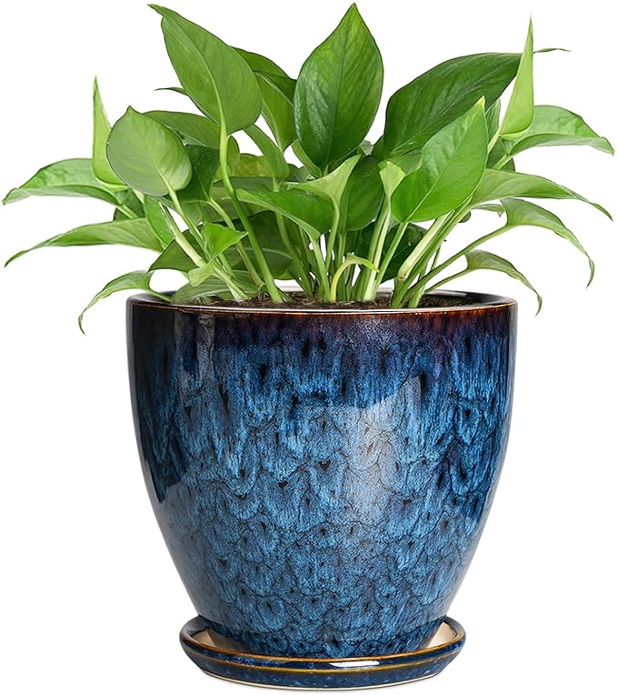 6 Inch Plant Pot - Ceramic Pots for Plants with Drainage Hole and Saucer, Ceramic Planters for Indoor Plants Outdoor, Decorative Round Planter, Room Home Decor, Gifts for Plant Lovers, Blue