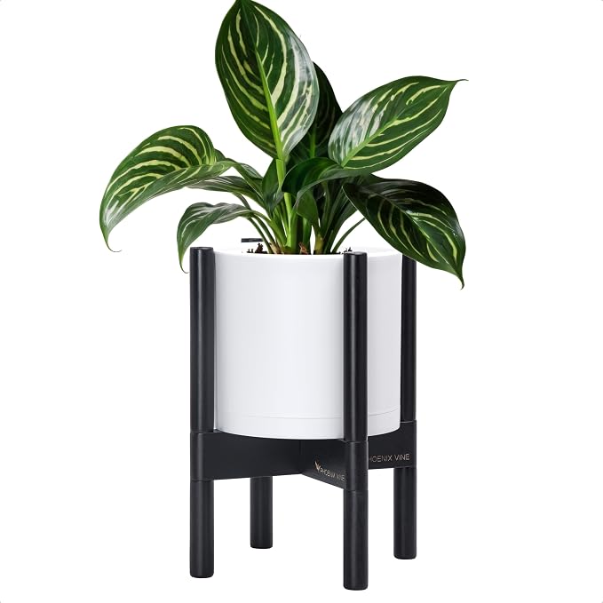 D'vine Dev Plastic Pot with Ebony Wood Stand, White, 8 in, 55-C-K-1 | Mid-Century Inspired Design, Elevated Plant Display, Clean Lines, Sturdy Support, Modern Space-Saving Style