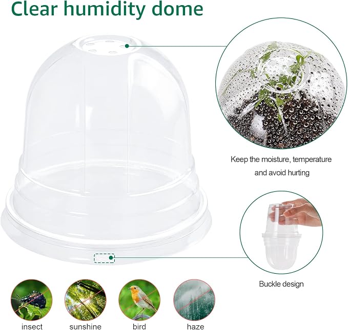Bluepro Clear Nursery Pots with Humidity Domes, 4 Inch, 30-Pack | Clear PET, Drainage Holes, Root and Germination Visibility, Flexible, Indoor Propagation and Seed Starting