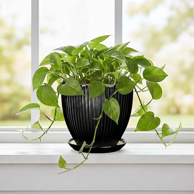6 Inch Ceramic Planter, Indoor Plant Pots for Small Plants, Decorative Flower Pots with Drainage Hole and Saucer, Round Pot for Plants, Office Bathroom Decor, Gifts for Plant Lovers, Black