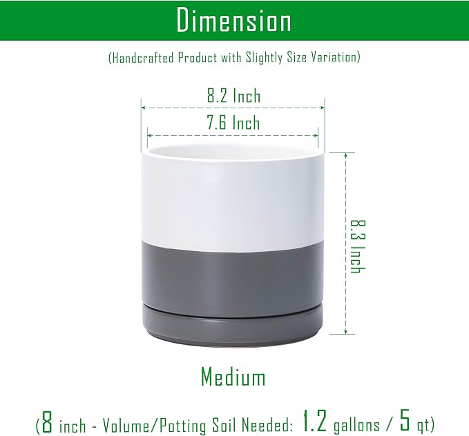 D'vine Dev 2-Pack Ceramic Pots with Saucers, White/Grey, 8.2 in, 94-V-D-6 | Modern Cylinder Design, Glazed Ceramic, Drainage Hole & Saucer Included, High Temperature Fired, Elegant Home Accent