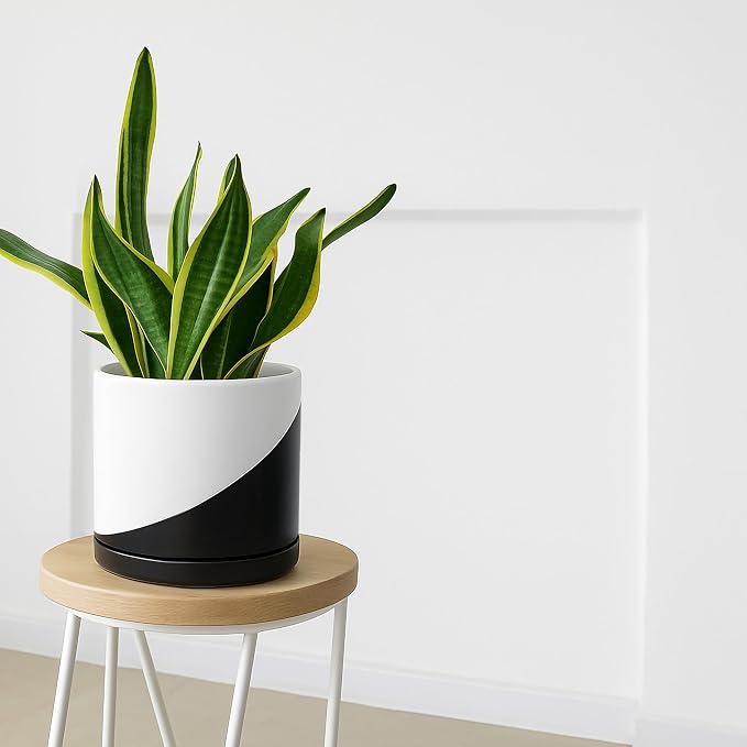 D'vine Dev 10 Inch Ceramic Planter Pot, Black White Diagonal, 94-O-E-K | Modern Cylinder Design, Drainage Hole & Saucer Included, Stable Structure, Elegant Home Accent