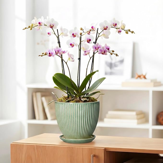 8 Inch Planter, Ceramic Plant Pots with Drainage Hole and Saucer, Decorative Pots for Plants Indoor, Ceramic Flower Pots, Round Modern Planter, Living Room Decor, House Warming Gifts, Green