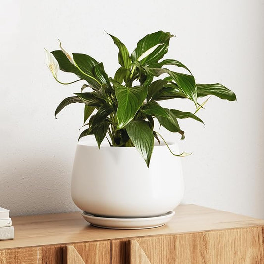 LE TAUCI Ceramic Planter, 10 Inch Plant Pot with Drainage Hole & Saucer – Durable Indoor Planter for Modern Home Decor, White