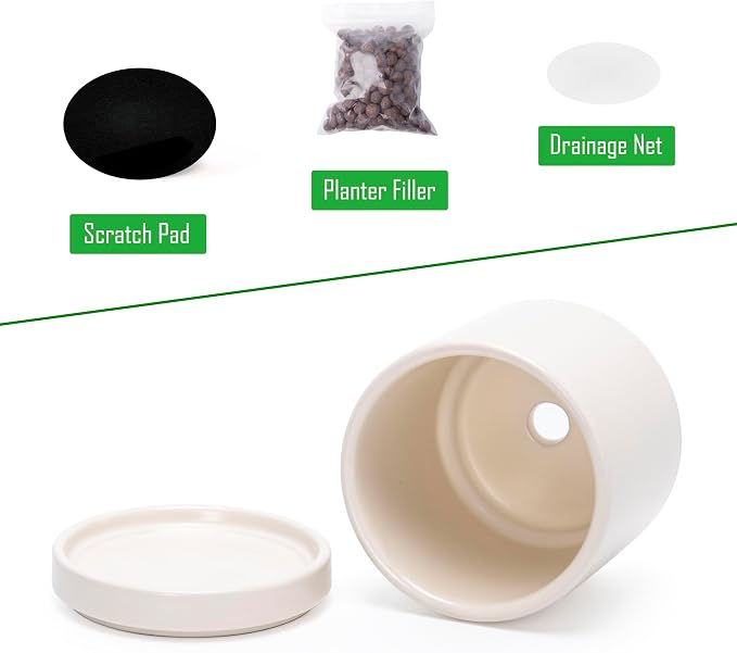 D'vine Dev 2-Pack Ceramic Pots with Saucers, Oatmeal, 3.5 in, 94-V-A-8 | Modern Cylinder Design, Glazed Ceramic, Drainage Hole & Saucer Included, High Temperature Fired, Elegant Home Accent