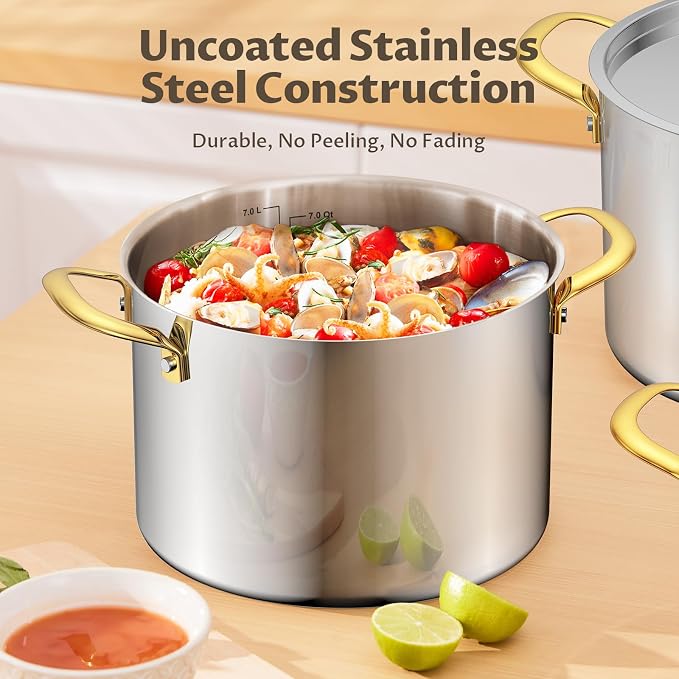BEZIA 8 QT Stainless Steel Stock Pot with Lid, Uncoated Cooking Pot | Tri-ply Base for Even Heat, Works on All Stoves, Oven & Dishwasher Safe, for Whole Chicken & Bone Broth, Blanching & Boiling