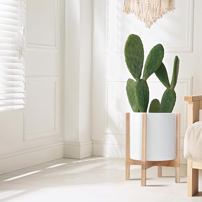 D'vine Dev Plastic Pot with Natural Wood Stand, White, 12 in, 55-C-P-1 | Mid-Century Inspired Design, Elevated Plant Display, Clean Lines, Sturdy Support, Modern Space-Saving Style