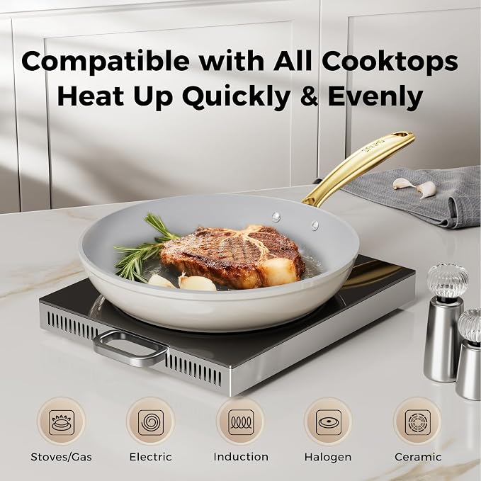 Sanho Ceramic NonStick Frying Pan, 10 Inch Frying Pans Skillet, Non Stick Egg Pans with Cool Touch PVD Handle for Induction, Dishwasher & Oven Safe, PTFE & PFOA Free, Non Toxic for Healthy Cooking