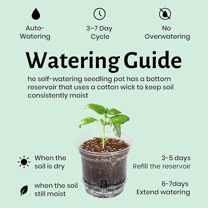 Bluepro Self Watering Pots for Indoor Plants, 6.5 Inch, 12-Pack | Clear Plastic, Reservoir Trays and Wicks, Up to 7-Day Water Supply, Root and Water-Level Visibility, Flexible, Reusable