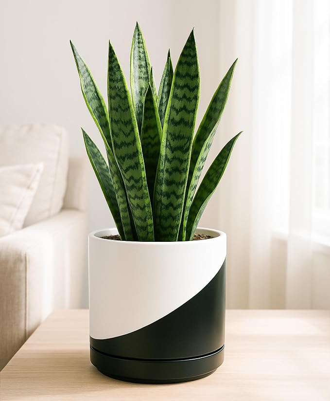 D'vine Dev 8.2 Inch Ceramic Planter Pot, Black White Diagonal, 94-O-D-K | Modern Cylinder Design, Drainage Hole & Saucer Included, Stable Structure, Elegant Home Accent