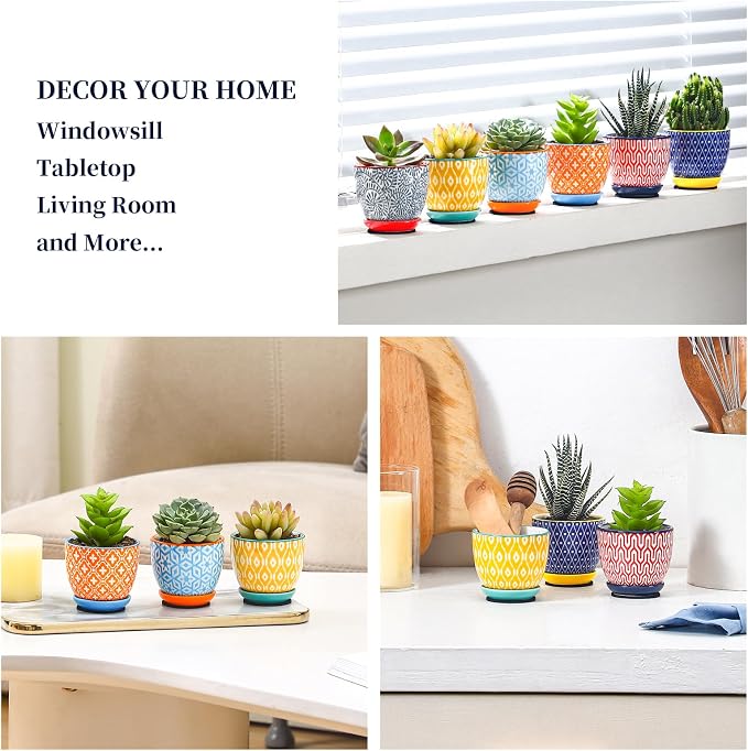 Selamica Ceramic 2.4 Inch Succulent Pots, Mini Flower Pots for Cactus Plant with Drainage Holes & Saucers, Home Decor, Set of 6, Assorted Colors