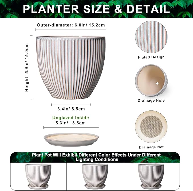 6 Inch Pots for Plants, Ceramic Plant Pots for Indoor Snake Plants, Round Succulent Planter with Drainage Hole and Saucer, Modern Decorative Flower Pot, Bathroom Decor, Gardening Gifts, Grey