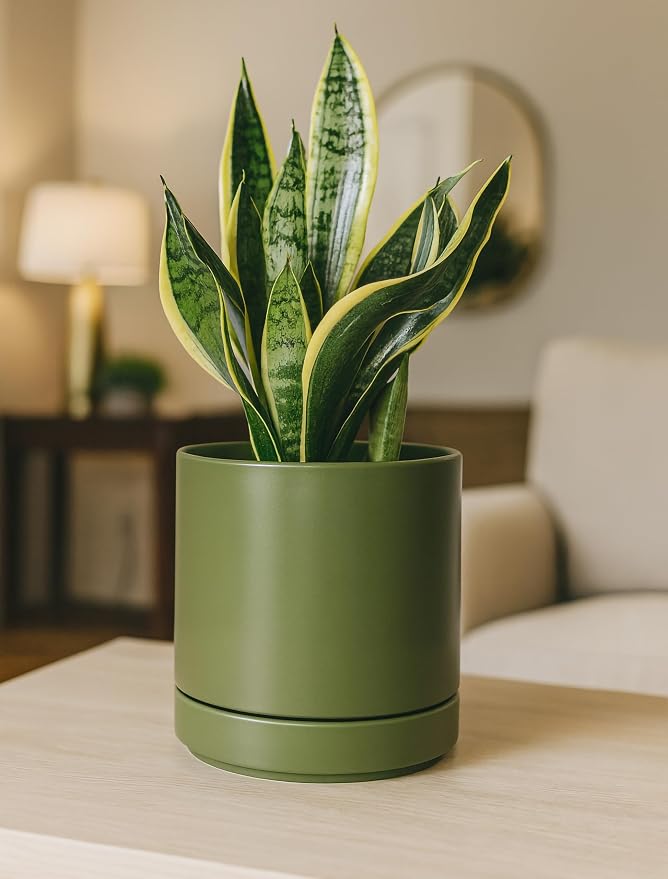 D'vine Dev 6.5 Inch Ceramic Planter Pot, Olive, 94-O-C-J | Modern Cylinder Design, Drainage Hole & Saucer Included, Stable Structure, Elegant Home Accent