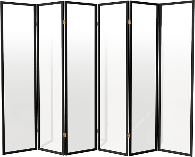 Red Lantern 6 ft. Tall Clear Plastic Partition Black 6 Panel