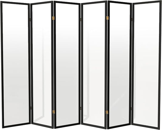 Red Lantern 6 ft. Tall Clear Plastic Partition Black 6 Panel