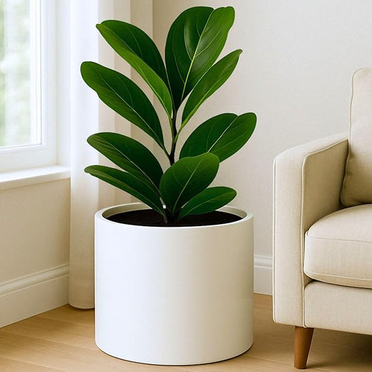 Fox & Fern Large Indoor Planter, Modern Large Plant Pot for Indoor or Outdoor, UV and Frost Resistant - 14.6 Inch, Matte White Flower Pot with Drainage Plug, Lightweight