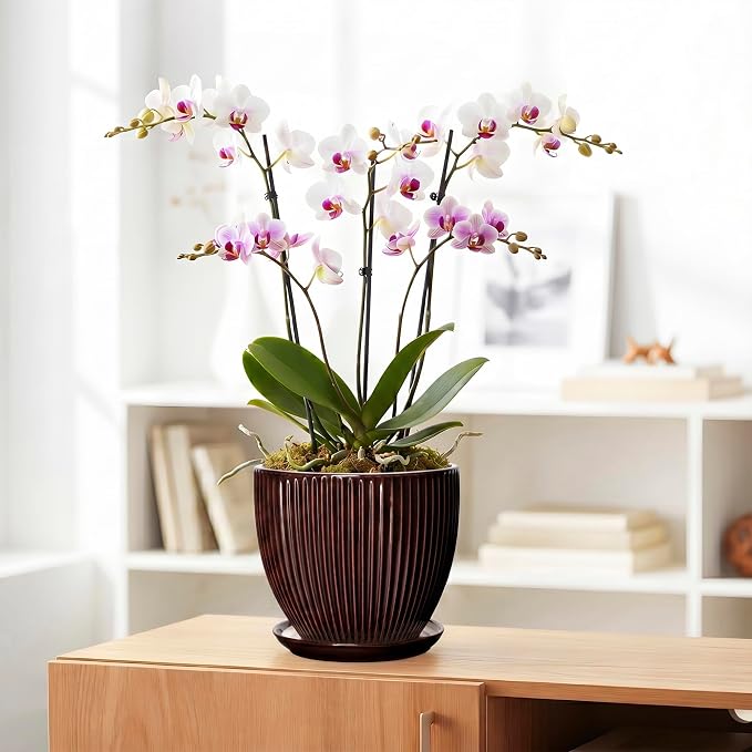 8 Inch Flower Pot, Ceramic Planters with Drainage Hole and Plant Saucer, Round Planters for Indoor Plants, Modern Plant Pot, Decorative Planter, Home Entryway Decor, Women Men Gifts, Brown