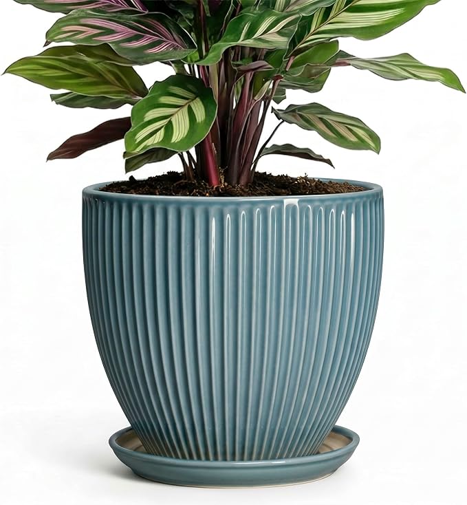 6 Inch Plant Pot Indoor, Ceramic Pots for Snake Succulent Plants, Decorative Round Flower Pots with Drainage Hole and Saucer, Modern Planter, Bookshelf Decor, Gifts for Men Women, Glaze Blue