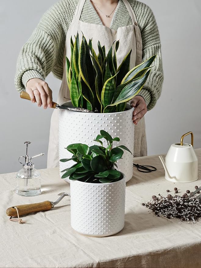 LE TAUCI 10+8+6 Inch Ceramic Pots for Plants, Indoor Planters with Drainage Hole and Plug, Raised Dots Cylinder Flower Pots Set of 3 for Living Room and Bedroom, Matte, White