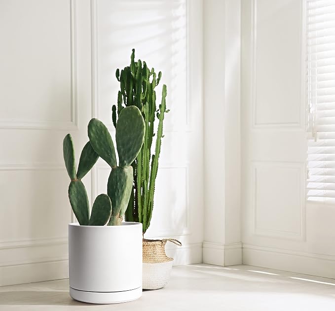 D'vine Dev 12 Inch Ceramic Planter Pot, White, 94-O-F-1 | Modern Cylinder Design, Drainage Hole & Saucer Included, Stable Structure, Elegant Home Accent