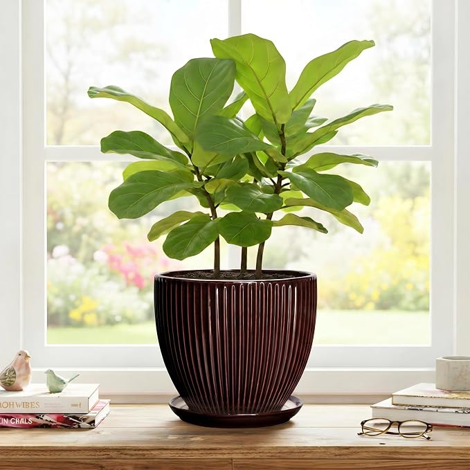 8 Inch Flower Pot, Ceramic Planters with Drainage Hole and Plant Saucer, Round Planters for Indoor Plants, Modern Plant Pot, Decorative Planter, Home Entryway Decor, Women Men Gifts, Brown