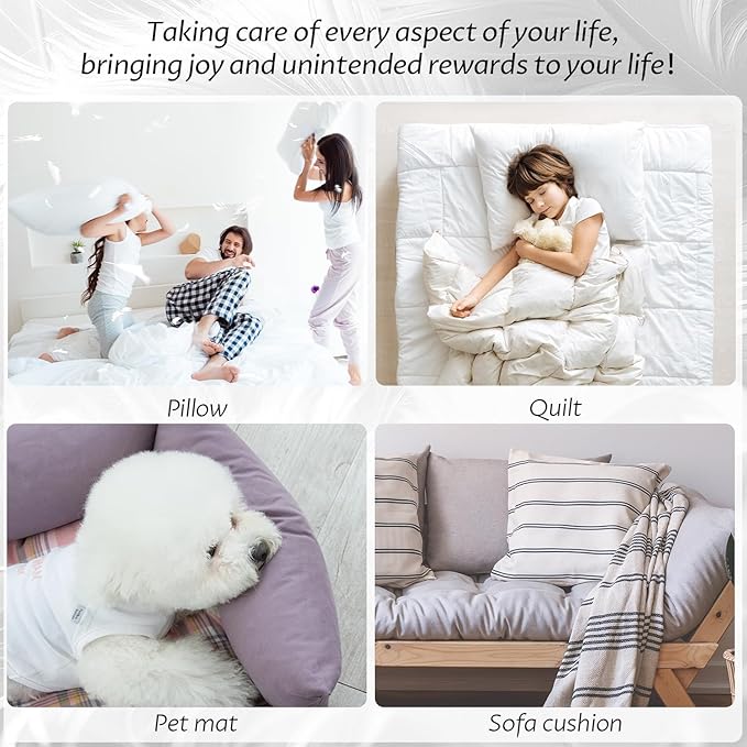 MOOX Down Feathers Pillow Stuffing Filling for DIY Projects Premium Natural 5/95 Goose Feather Down Soft Fluffy Perfect for Pillow Cushions Bedding Pillow Couch Dog Bed Upholstery Crafts (2.0, Pounds)