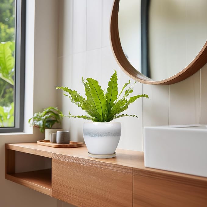 Ceramic Plant Pot - 6 Inch Ceramic Pots for Indoor Outdoor Plants, Decorative Planter with Drainage Hole and Saucer, Modern Plant Pots, Bedroom Room Decor, Plant Lover Gifts, White-Grey